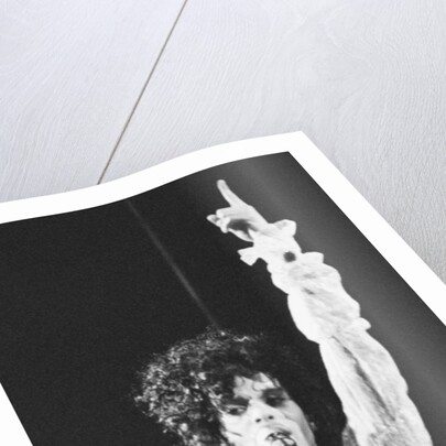 Prince Pop Star by Mike Maloney