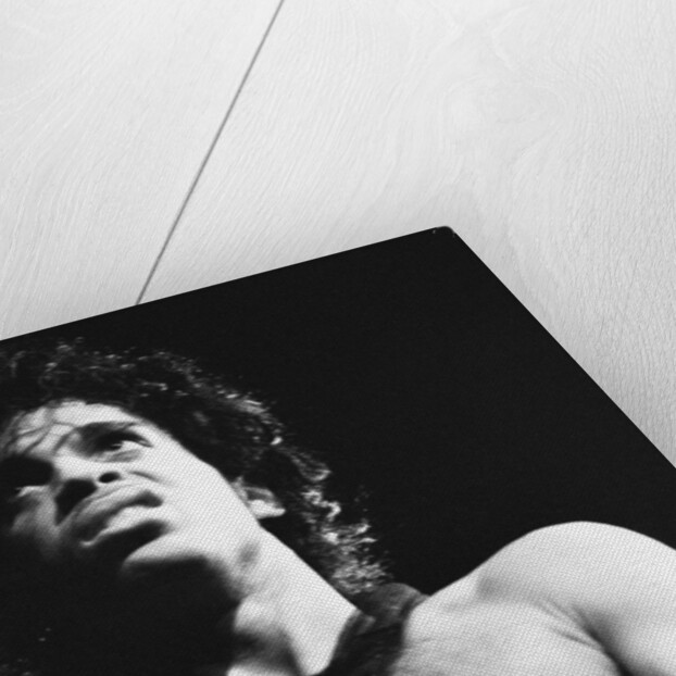 Prince Pop Star by Mike Maloney