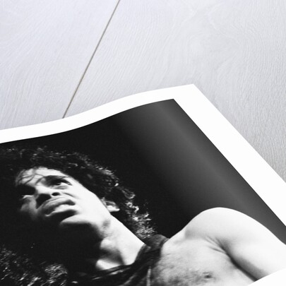 Prince Pop Star by Mike Maloney