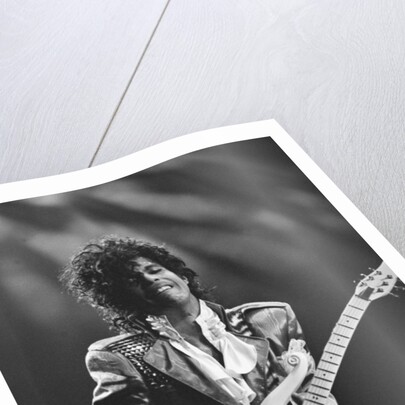 Prince Pop Star by Mike Maloney