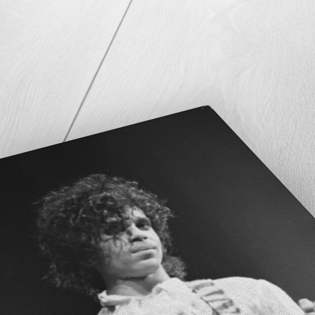 Prince Pop Star by Mike Maloney