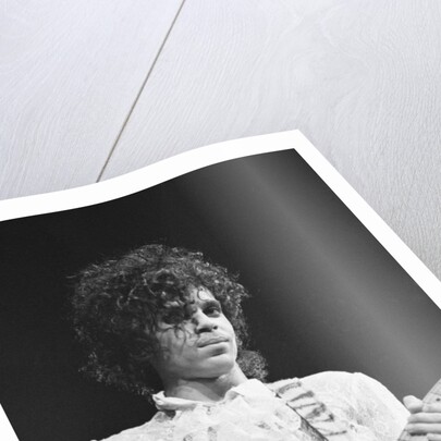 Prince Pop Star by Mike Maloney