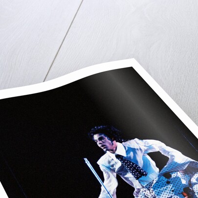 Prince Pop Star by Roger Allen