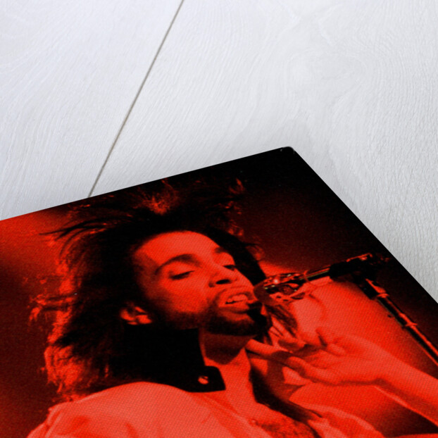 Prince Pop Star by Reid