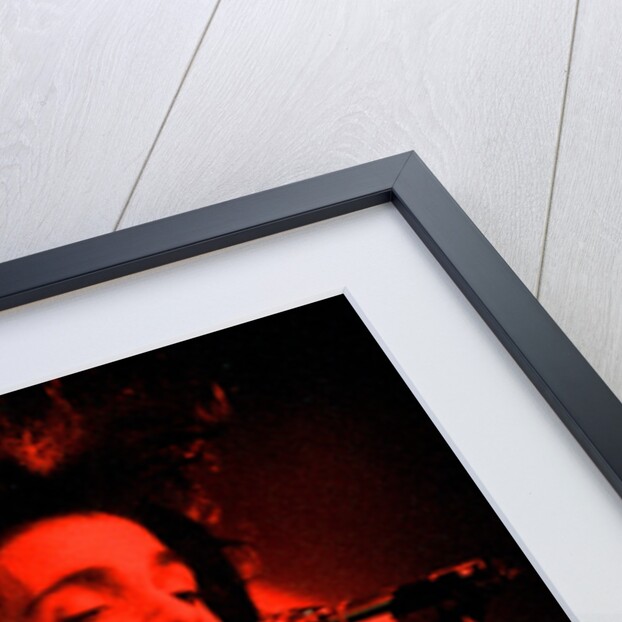 Prince Pop Star by Reid