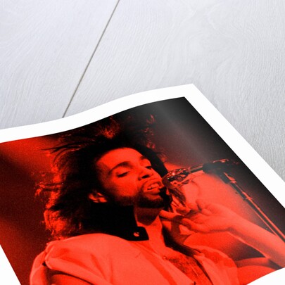 Prince Pop Star by Reid