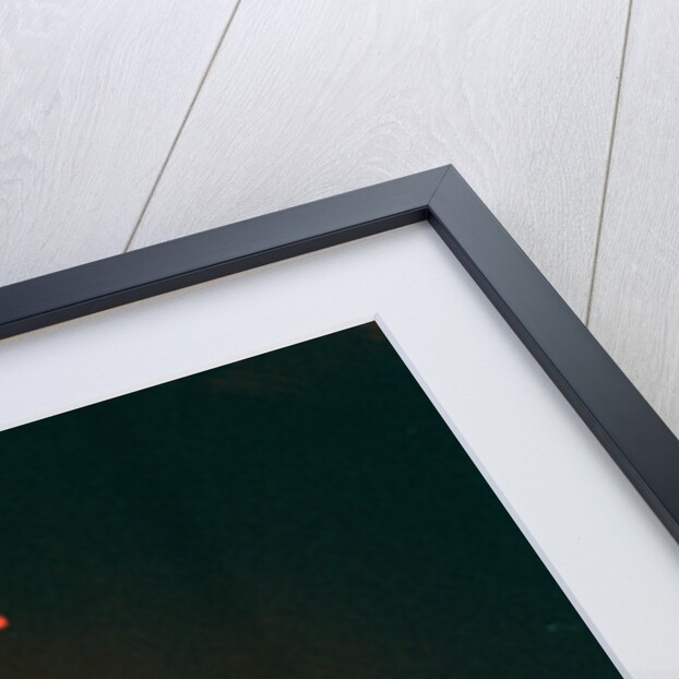 Prince Pop Star by Reid