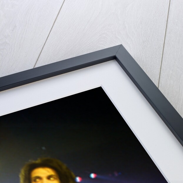 Prince Pop Star by Reid