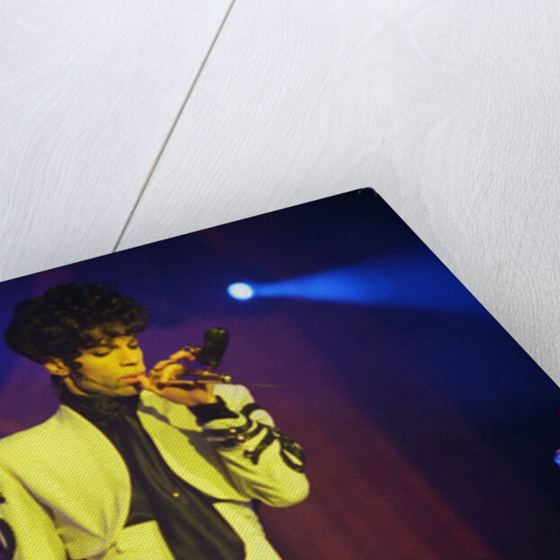 Prince Pop Star by Chris Grieve