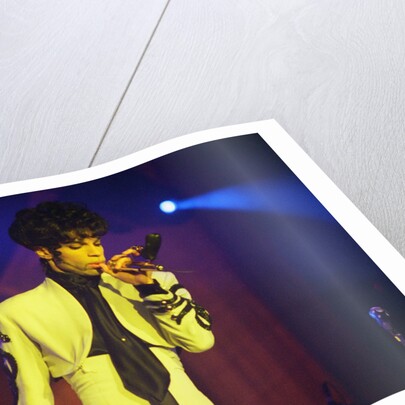 Prince Pop Star by Chris Grieve