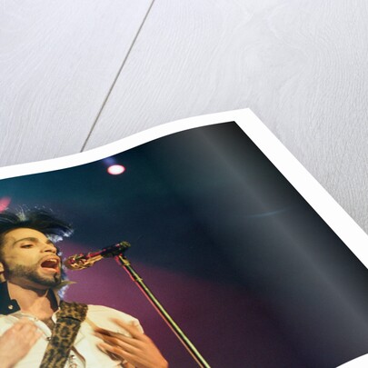 Prince Pop Star by Reid