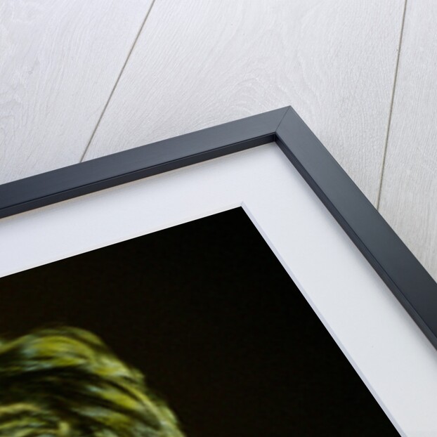 Prince Pop Star by Chris Grieve