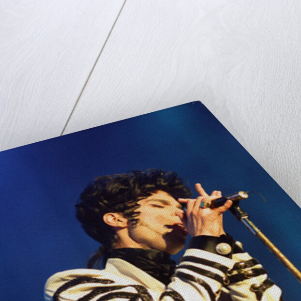 Prince Pop Star by Chris Grieve
