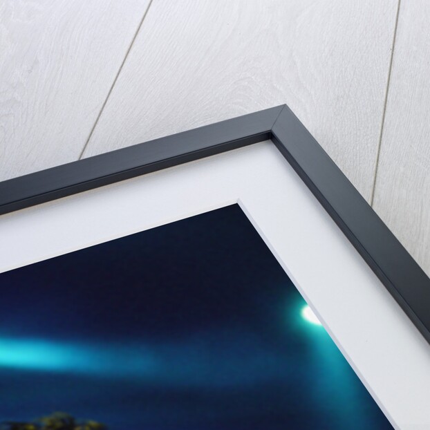 Prince Pop Star by Chris Grieve