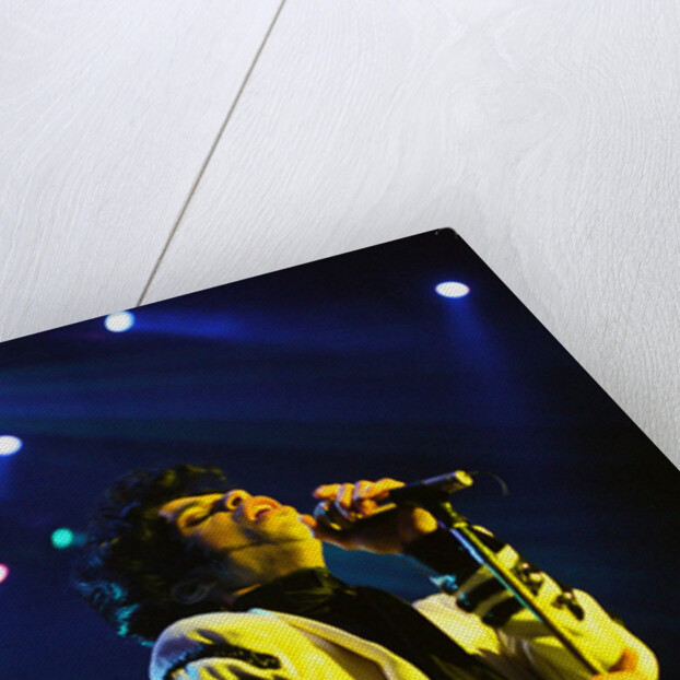 Prince Pop Star by Chris Grieve