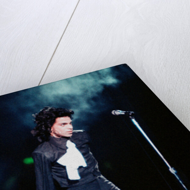 Prince Pop Star by Russell Bass