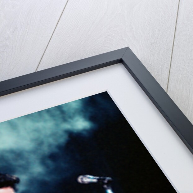 Prince Pop Star by Russell Bass