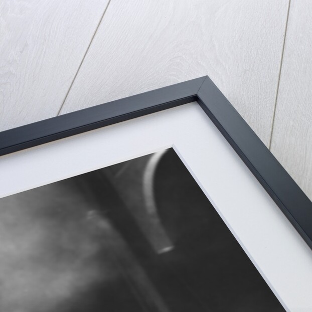 Prince Pop Star by Staff