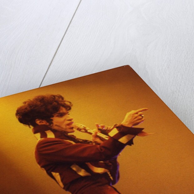 Prince Pop Star by Richard Nelmes