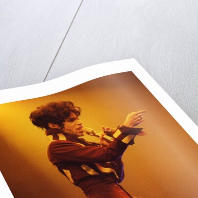 Prince Pop Star by Richard Nelmes