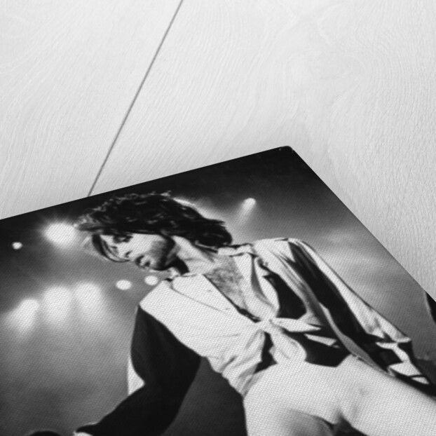 Prince Pop Star by Jason Tilley