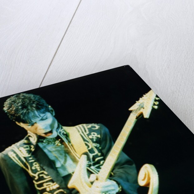 Prince Pop Star by Richard Nelmes