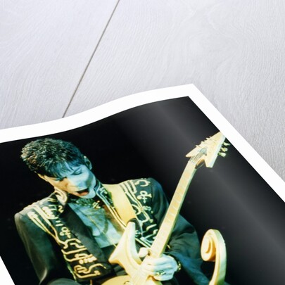 Prince Pop Star by Richard Nelmes