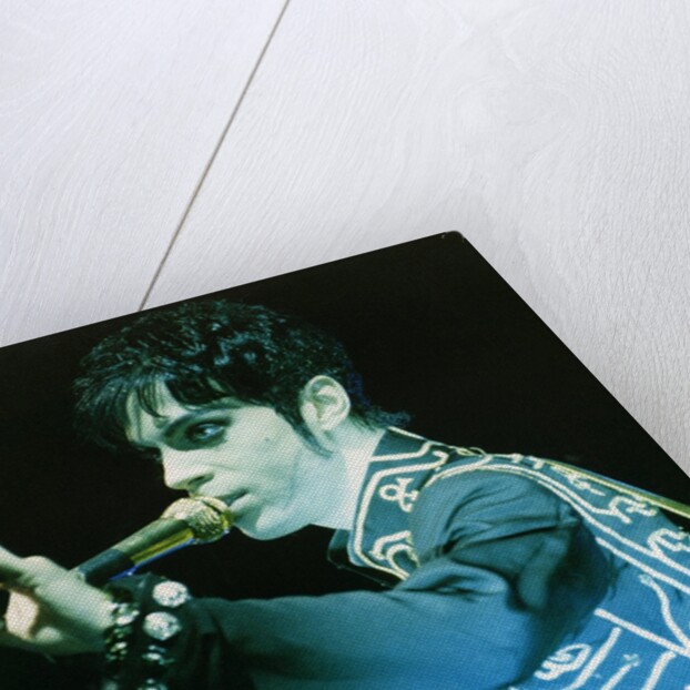 Prince Pop Star by Richard Nelmes