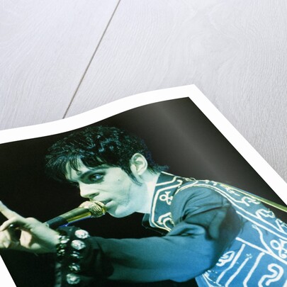Prince Pop Star by Richard Nelmes