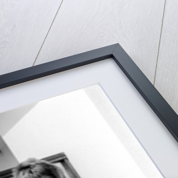 Rod Stewart by Anonymous