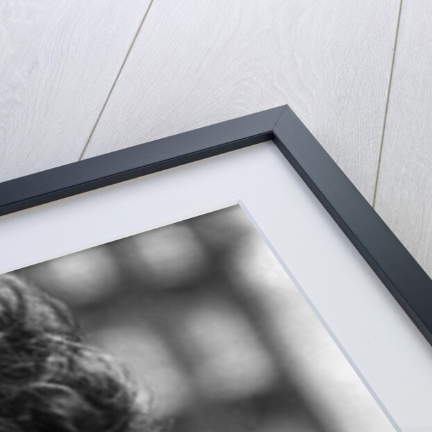 Neil Diamond by Anonymous