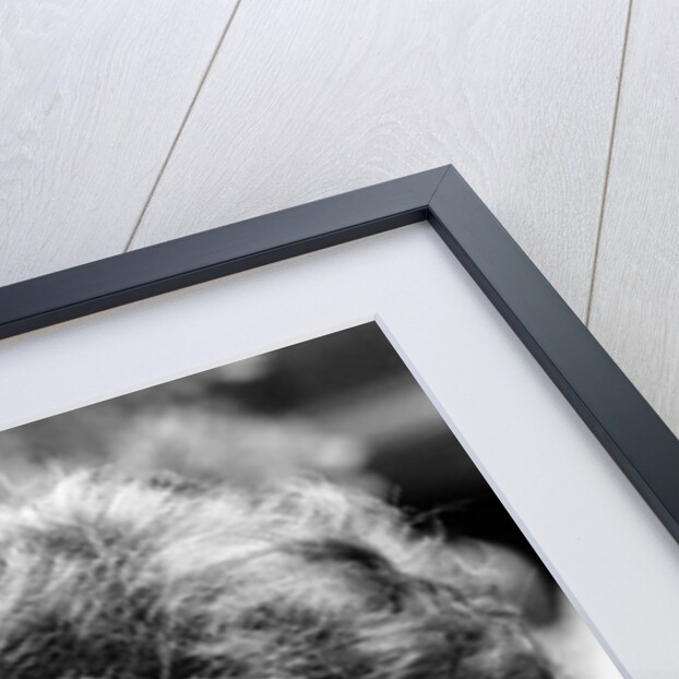 Adam Ant without his make up by Anonymous