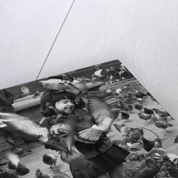 Young girl surrounded by hungry pigeons by Anonymous