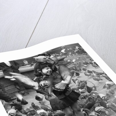 Young girl surrounded by hungry pigeons by Anonymous