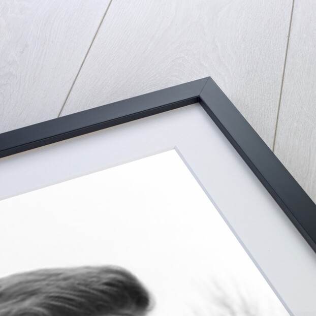 Fulham team in training 1958 by Anonymous