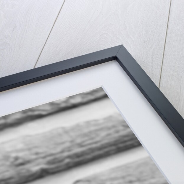 Mulhammed Ali in disguise as an old man by Albert Foster