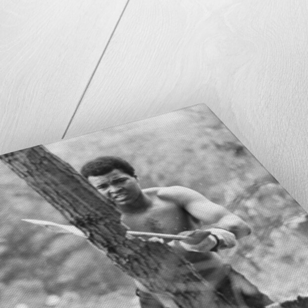 Muhammad Ali by Michael Brennan