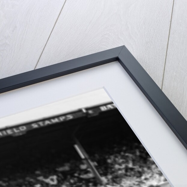 Manchester United v Reading by Anonymous