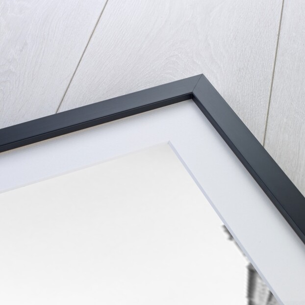 Leeds United reception after winning the FA Cup by David Hicks