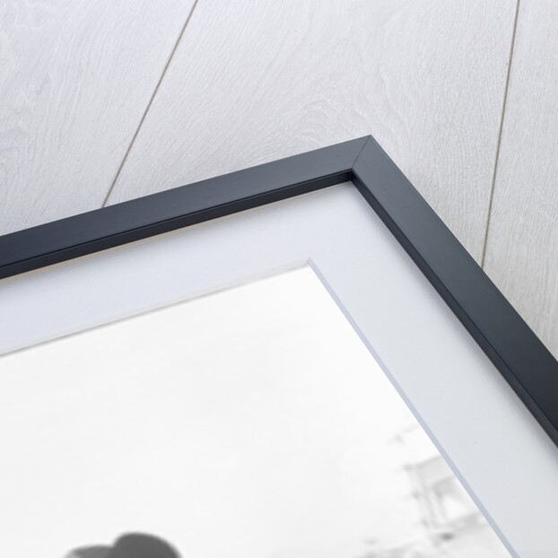 Roy Rogers, the Singing Cowboy by Kent Gavin