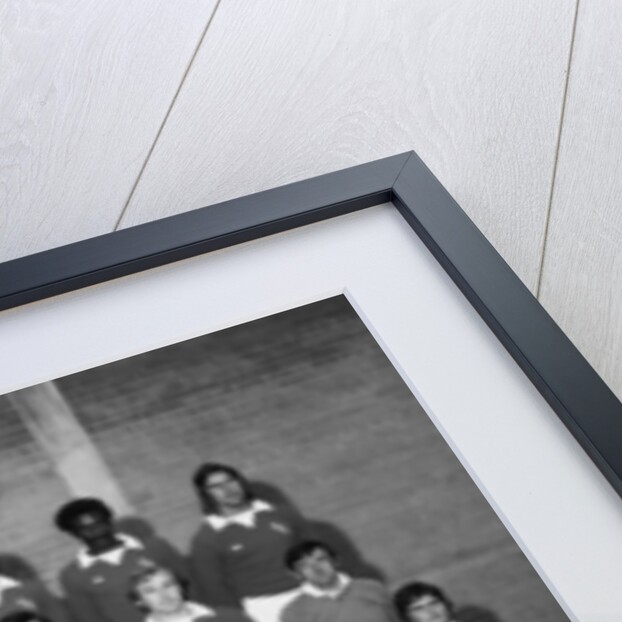 Everton football team pose for a pre season squad photograph by Anonymous