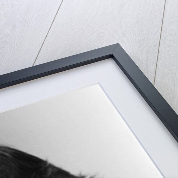 Gary Moore by Peter Stone