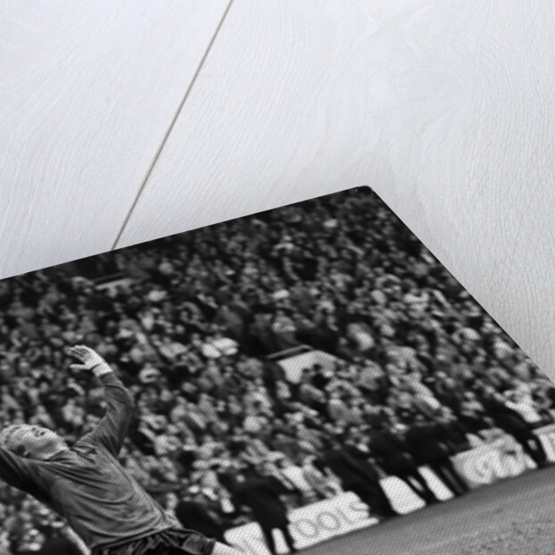 FA Cup Semi Final, Wolverhampton Wanderers v Tottenham Hotspur by Monte Fresco