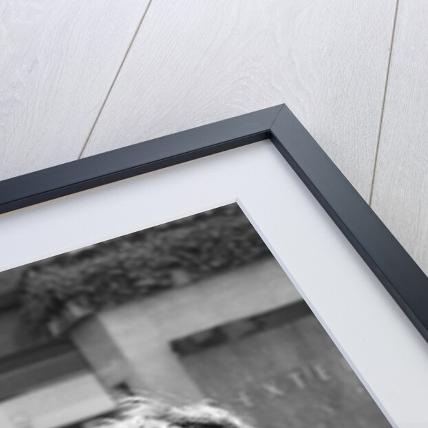 The Undertones by Bill Kennedy