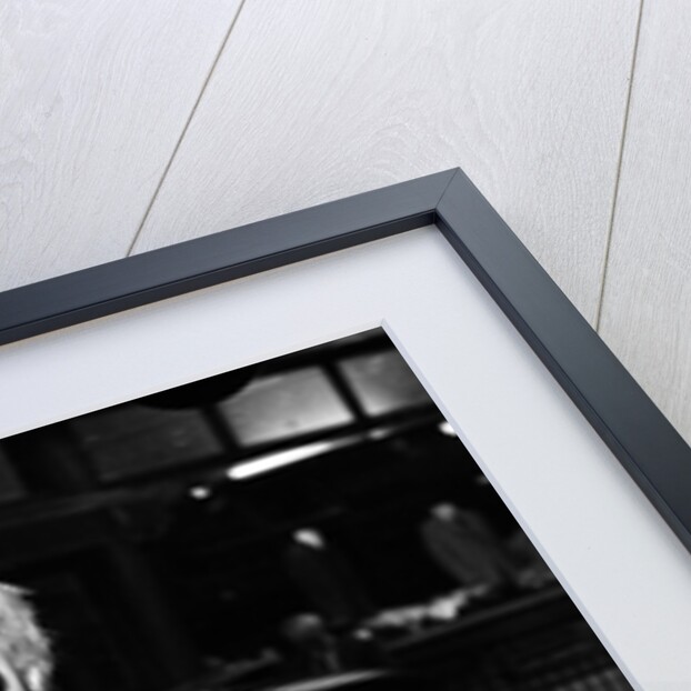 Captain Sensible by Mauro Carraro