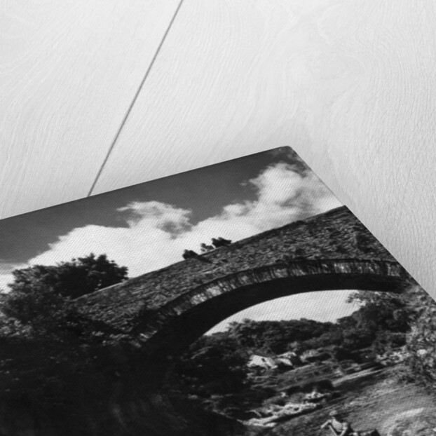 Cenarth Bridge by Staff