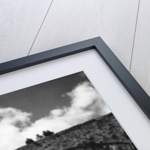 Cenarth Bridge by Staff