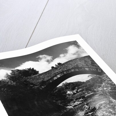 Cenarth Bridge by Staff