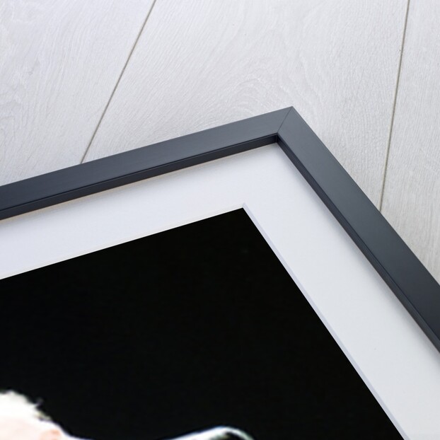 Joe Cocker and Eric Clapton 1993 by Jeremy Williams