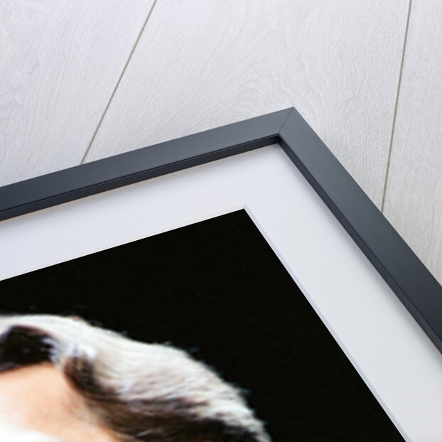 Eric Clapton 1992 by Roger Allen